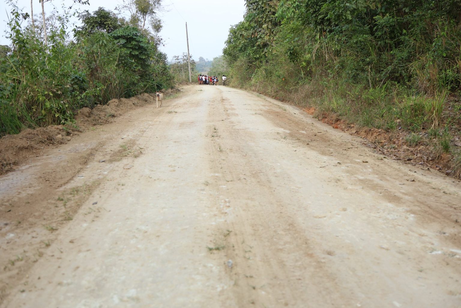 514269128_726928200410252_5952350646894682123_n