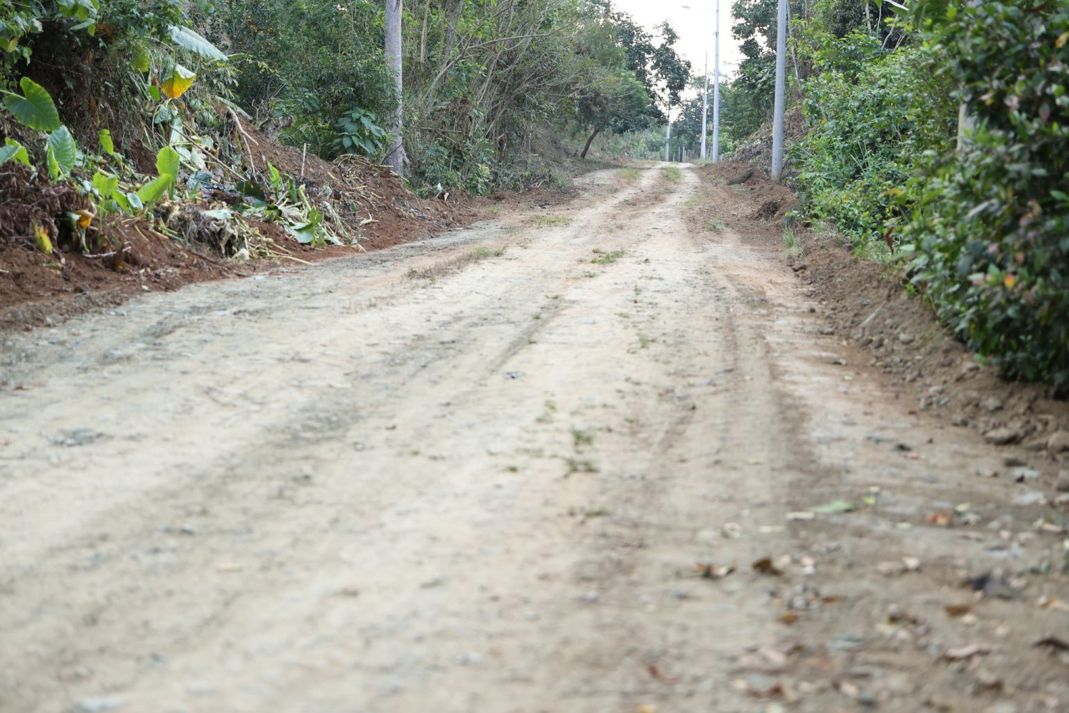 557009450_726928323743573_3253728221291636502_n