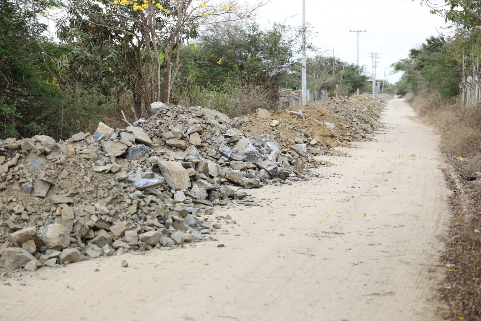 558208977_741830502253355_8645927384923627699_n