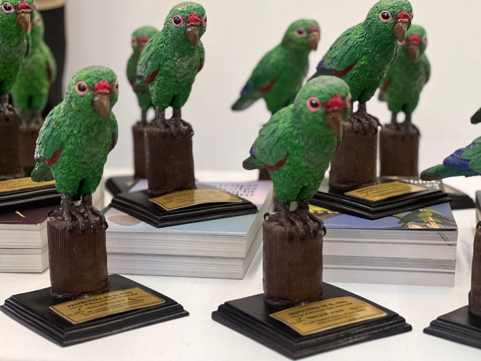 586045820_765554713214267_6593806018486240186_n