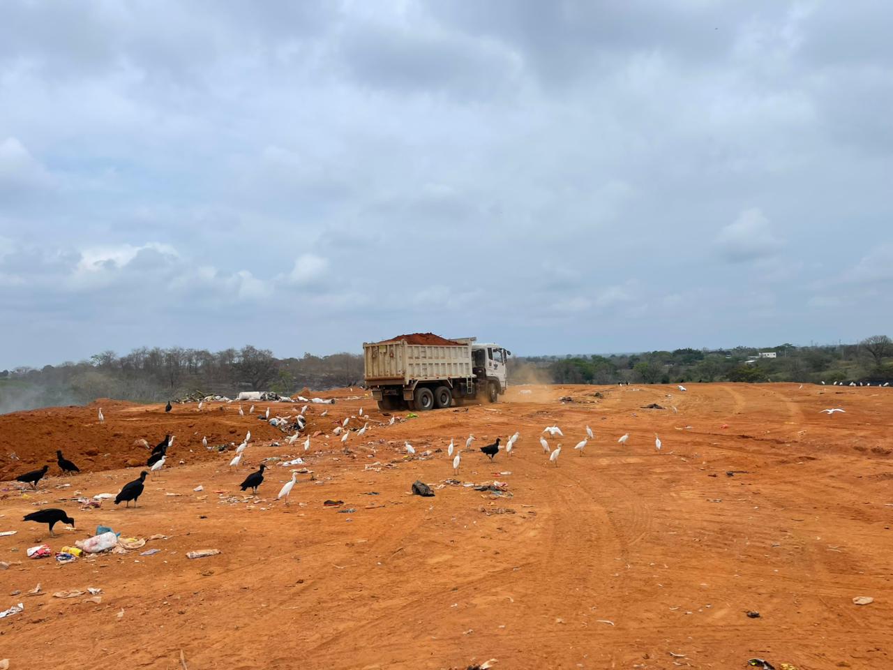 604331468_789575980812140_6739438113854858442_n