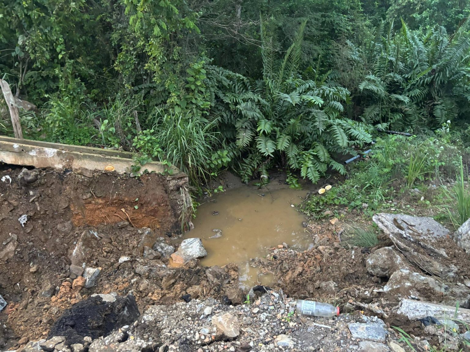 627499750_824736590629412_5434441277602410826_n