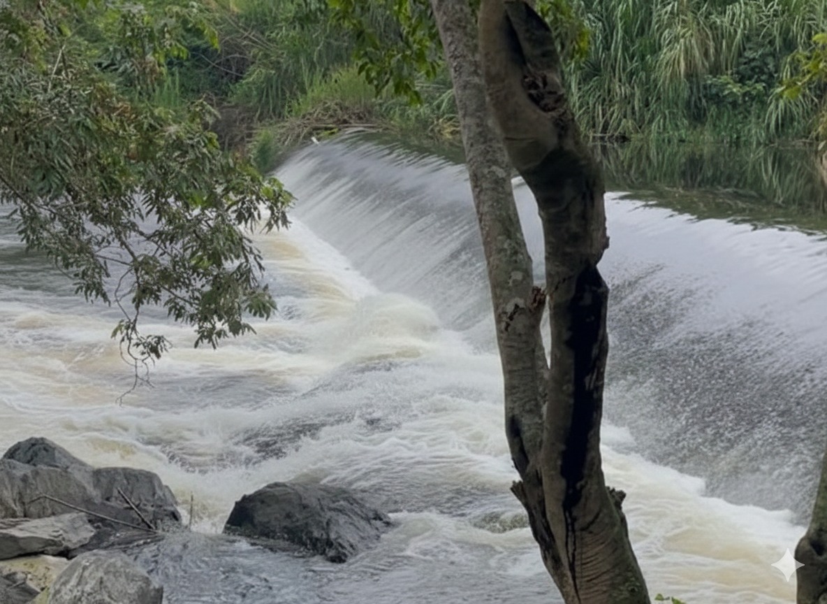 627839040_1479080187561050_8271483021147510929_n