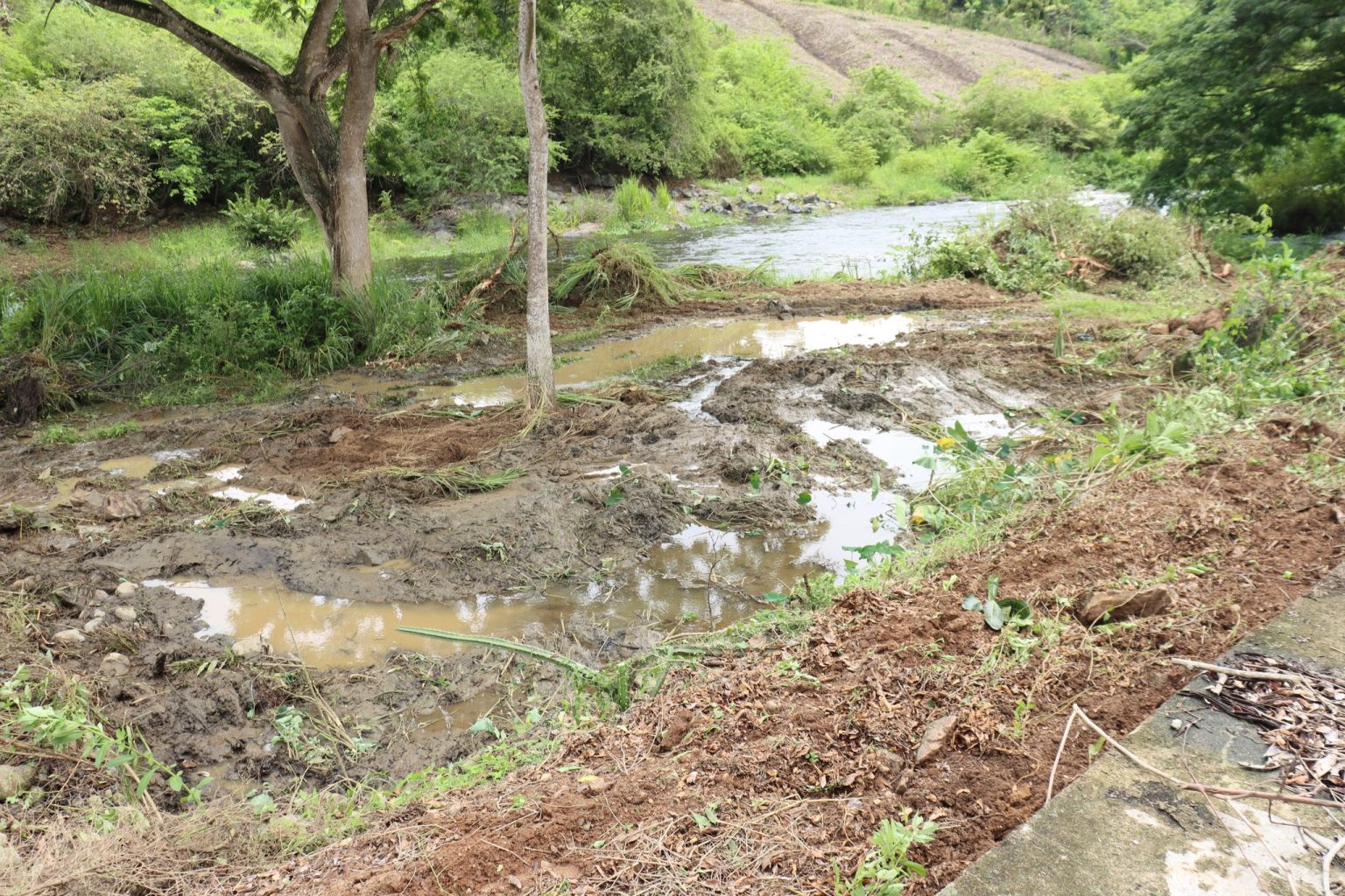 627856164_1479072944228441_7978844228219136393_n